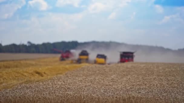 Maszyny Rolnicze Zbioru Zbóż Akcji Sezon Zbiorów — Wideo stockowe