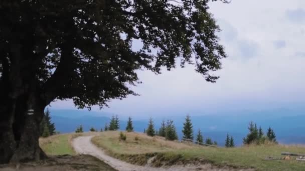Природный Пейзаж Горах Большое Зеленое Дерево Размытом Фоне Гор Летом — стоковое видео