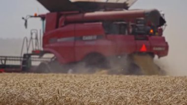 Hasat makinesi buğday mahsulünü topluyor. Buğday hasadı makası. Sahada çalışan modern kırmızı tarım makinesi. Gıda endüstrisi kavramı.