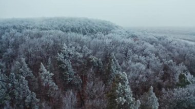 Kış manzarası. Ağacın üzerinde uçarken her yer buz tutmuş. Ormanda sakin bir nehir. Hareket kamerası sağa..