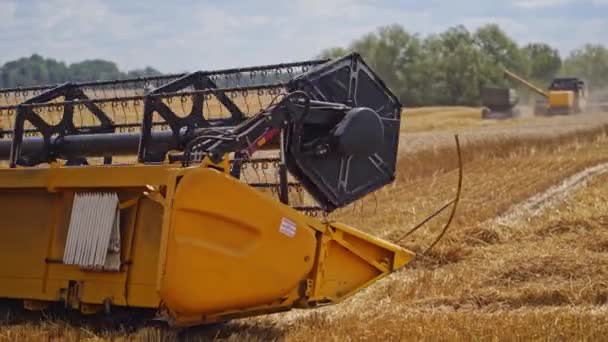 Yazın Sarı Tarlada Tarım Işleri Kırsalda Çalışan Modern Makine Ekipmanları — Stok video
