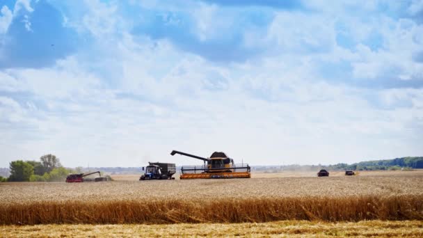 季节性工作期间的农业机械 在一个阳光明媚的夏日里 在田里干活的联合收割机和拖拉机 — 图库视频影像