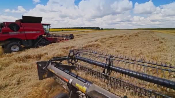 Dois Combina Colheitadeira Trabalhando Campo Amarelo Parte Metálica Máquina Agrícola — Vídeo de Stock