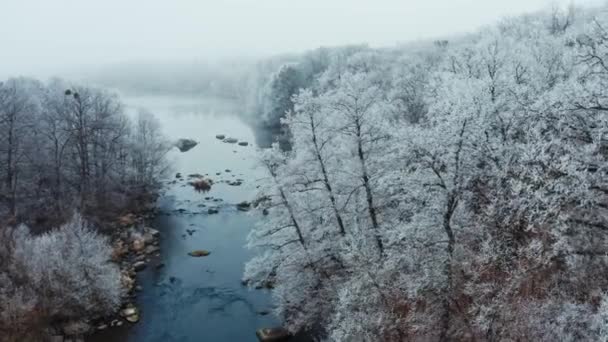 Belle Nature Hiver Vue Aérienne Sur Rivière Qui Coule Parmi — Video