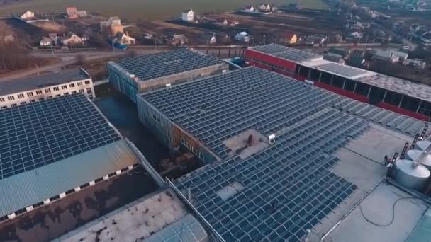 Ferme Solaire Sur Les Toits Des Bâtiments Industriels Panneaux Photovoltaïques — Video