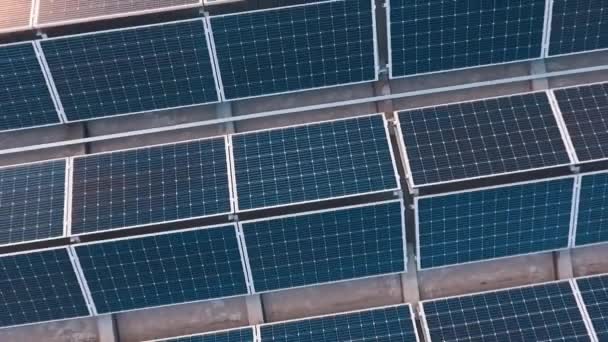 Sonnenkollektoren Freien Landschaftsbild Eines Solarparks Grünes Alternatives Energiekonzept Luftaufnahme Kamera — Stockvideo