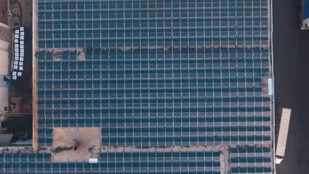 Ogromna Farma Słoneczna Dachu Słoneczne Baterie Szczycie Budynku Aby Otrzymać — Wideo stockowe