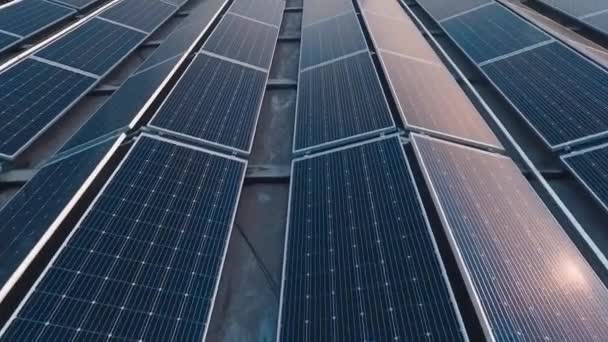 Blaue Sonnenkollektoren Für Erneuerbare Energien Reihenweise Sonnige Batterien Die Auf — Stockvideo