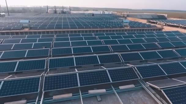 Słoneczna Farma Dachach Dużych Budynków Komórki Słoneczne Otrzymujące Zieloną Alternatywną — Wideo stockowe