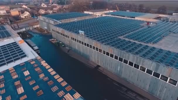 Panneaux Solaires Sur Les Toits Des Bâtiments Industriels Dans Soirée — Video