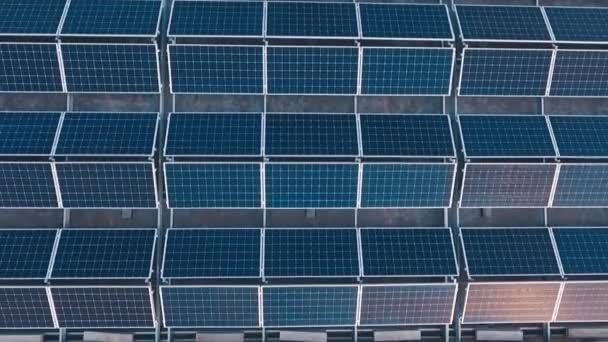 Top Luftaufnahme Des Solarparks Auf Dem Dach Sonnige Batterien Für — Stockvideo