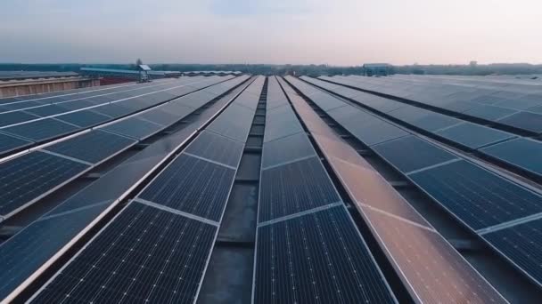 Длинные Солнечные Батарейки Закате Фотоэлектрические Солнечные Панели Вечерним Солнцем Возобновляемая — стоковое видео