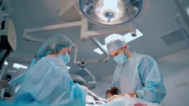 Chirurdzy Wykonują Operacje Pomocą Przyrządów Medycznych Lekarz Pielęgniarka Niebieskim Mundurze — Wideo stockowe