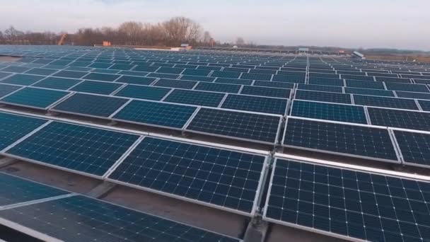 Sorvolando Moderna Fattoria Solare Elettrica Pannelli Solari Blu Raccolta Energia — Video Stock