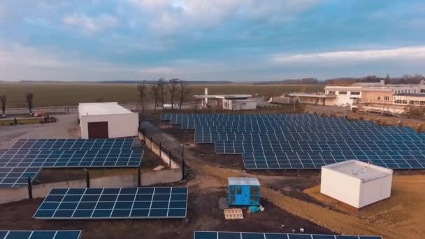 Farma Słoneczna Polu Słoneczne Baterie Ziemi Wśród Natury Odnawialne Źródło — Wideo stockowe