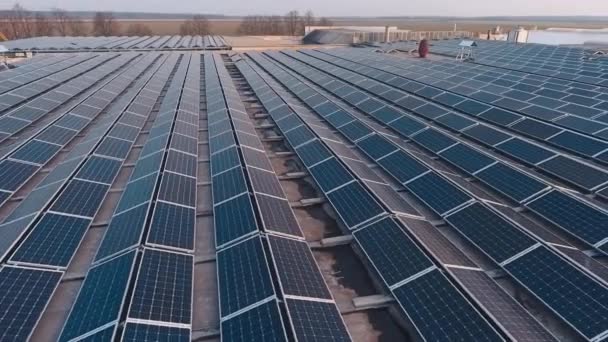 建物の屋根の上に巨大な太陽光発電所 青い太陽電池パネルは太陽からきれいなエネルギーを得る 新エネルギー源 — ストック動画