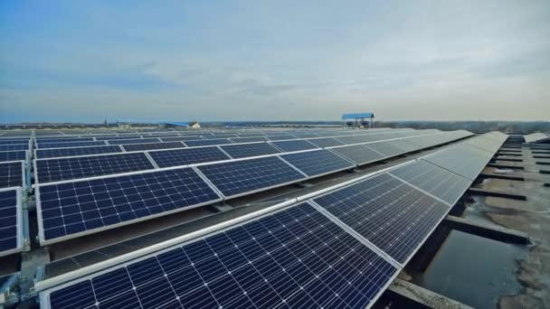 Длинные Ряды Голубых Солнечных Панелей Новые Солнечные Батареи Возобновляемых Источников — стоковое видео