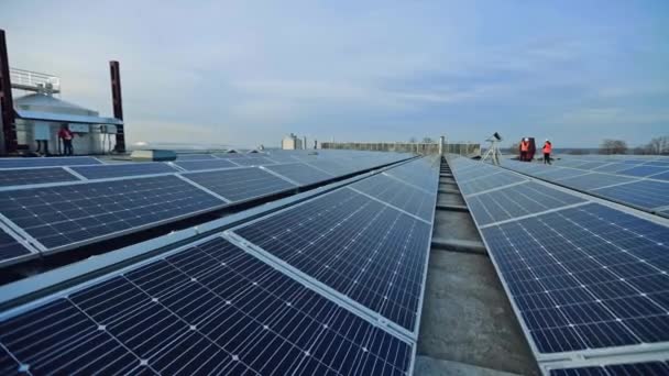 Установка Солнечных Батарей Новые Солнечные Батареи Солнечной Ферме Возобновляемых Источников — стоковое видео