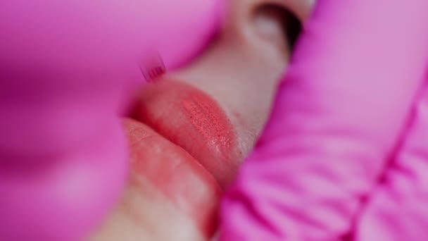 Καλλυντικός Που Βάζει Μόνιμο Μακιγιάζ Στα Χείλη Κομμένη Φωτογραφία Έννοια — Αρχείο Βίντεο