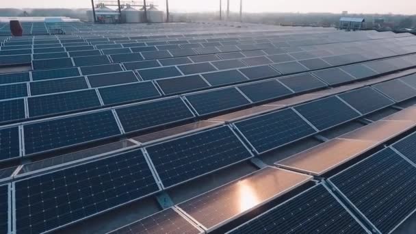 Fattoria Energia Solare Tramonto Moderni Pannelli Fotovoltaici Raccolgono Energia Ecologica — Video Stock