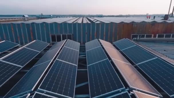 屋根の上に青い太陽光発電パネルを飛行する 夕方の日光の建物のソーラーパネル 緑の再生可能エネルギー スローモーション — ストック動画