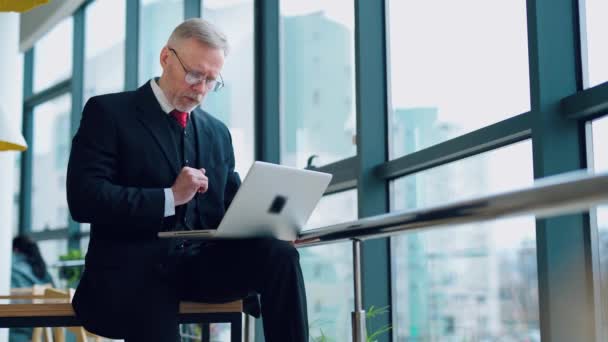 Grey Haired Businessman Working Laptop Serious Mature Man Glasses Elegant — Stock Video