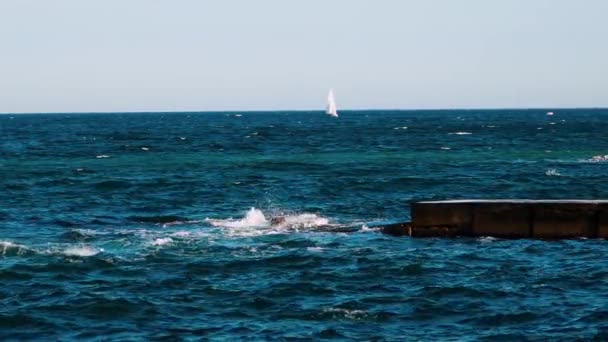 Dech Beroucí Pohled Pohyb Vody Moři Modrá Mořská Voda Pozadí — Stock video