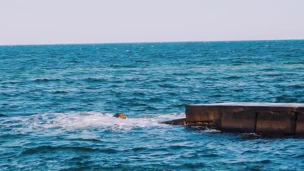 Modrá Voda Hladině Moře Oceánské Vlny Narážejí Kamenné Molo Úžasná — Stock video