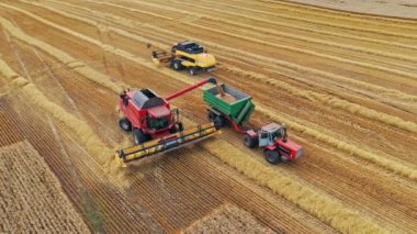 Hasat ve traktörleri sahada birleştirin. Tarım makineleri mevsimlik işler sırasında olgunlaşmış tahıl topluyor. Hava görünümü.