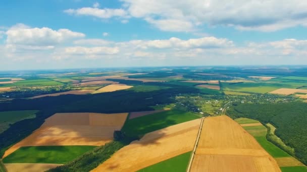 Schöne Landschaft Mit Grünen Und Gelben Feldern Flussnähe Erstaunliche Aussicht — Stockvideo