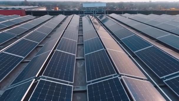 Righe Pannelli Solari Sul Tetto Tramonto Generatore Energia Verde Fotovoltaica — Video Stock