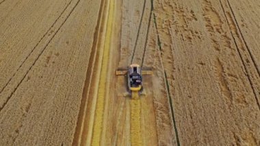 Sahada çalışan modern biçerdöver. Yukarıdan tarımsal makineye bak. Ekin toplama mevsimi. Hava görünümü.