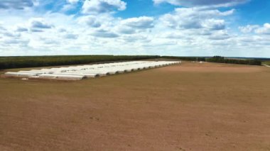 Tarlalar arasında modern çiftlik. Doğanın arka planında beyaz binaların endüstriyel kompleksi. Çiftlik arazisindeki yenilikçi fabrika.