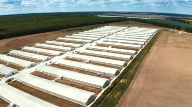 Sahada modern üretim kompleksi. Endüstriyel fabrikanın panoramik görüntüsü. Çiftliğin üzerinden doğa arka planında uçmak. Hava görünümü.