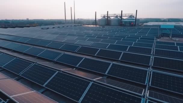 日落时配备太阳能电池的创新发电厂 在落日下 一排排光伏面板在平坦的背景上 生态能源概念 — 图库视频影像