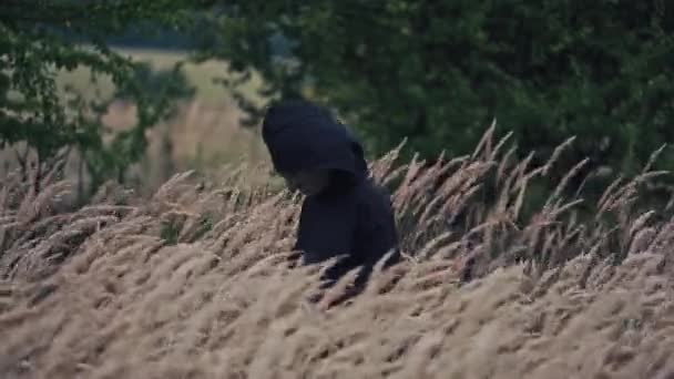 黑色斗篷中的黑鬼 自然界中的头罩 麦田和可怕的巫婆散步 看着相机 恐怖和万圣节的概念 — 图库视频影像