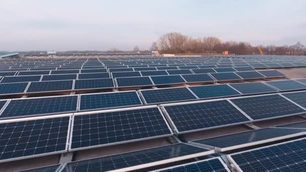 屋顶上的现代太阳能发电厂 光伏面板从晚阳中产生清洁能源 可持续生态能源 相机移回 — 图库视频影像