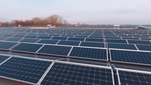 可持续能源 现代光伏电池在平坦的屋顶上 创新的太阳能电池板从太阳中产生生态能源 空中风景 移动相机回来了 — 图库视频影像