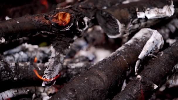 烧木头原木燃烧的原木上散发出温暖的火焰 烧烤肉用的木头 炭火的轻微移动 后续行动 — 图库视频影像