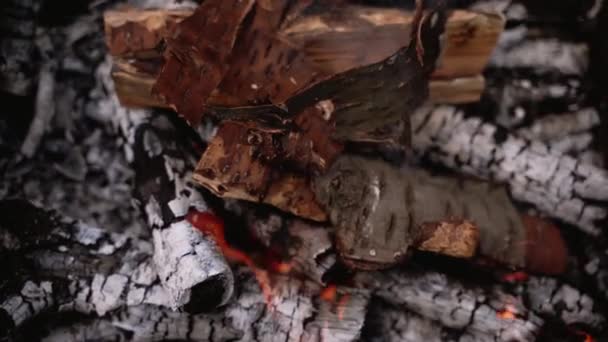 刺繍や木材をスモールダンにする 乾いた丸太と樹皮が火事で燃えています 木製の伐採について クローズアップ — ストック動画