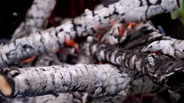 Smoldered Logs Slight Fire Detailed Motion Orange Flame White Wooden — Stock Video