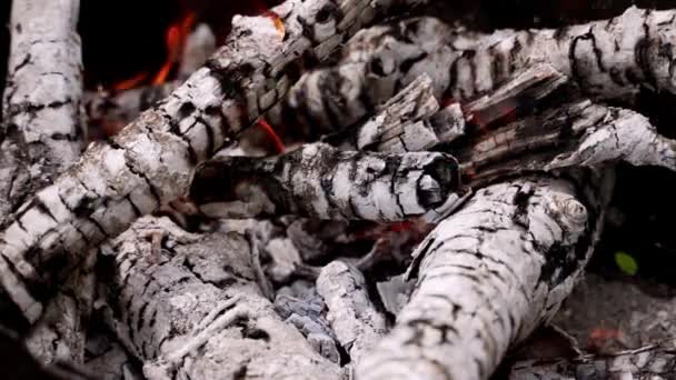 Background Smoldering Charcoal White Wooden Embers Slight Fire Hot Smoldered — Stock Video