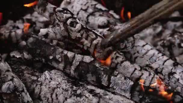 バーベキュー用の木材の準備ができました グローイング炭素 燃えている木材の火災のホットエンベラー 火の木がグリルで燃えている クローズアップ — ストック動画