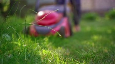 Yazın bahçe işleri. Çim biçme makinesinin arka planındaki yeşil çimenler. Motor çim biçiyor. Yakın plan..
