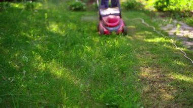 Bahçedeki çim biçme makinesi. Elektrikli çim biçme makinesi çalışıyor. Bahçede çim biçen bir işçi. Bahçe konsepti.
