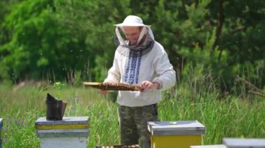 Arıcı bal peteği çerçevesini inceliyor. Mutlu arıcı arı kovanında bal dolu bir arı çerçevesine bakar. Organik gıda üretimi. Apiary kavramı.