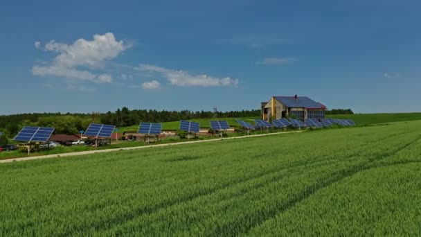 自然の背景にある太陽光発電パネル グリーンフィールドの道路沿いの青い晴れた電池 クリーンエネルギーの持続可能な源 — ストック動画