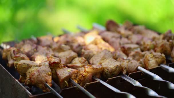 Pyszny Kebab Świeżym Powietrzu Przygotowanie Mięsa Wieprzowego Grillu Szkice Grillem — Wideo stockowe