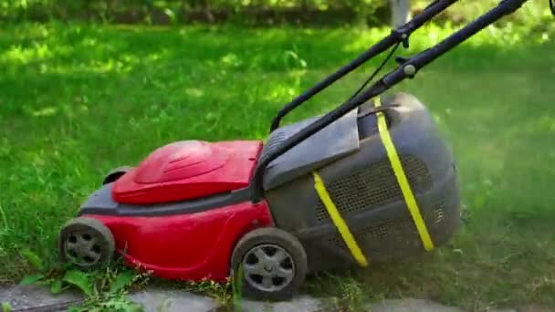 Garden Mower Equipment Woman Cutting Green Grass Corded Lawn Mower — Stock Video