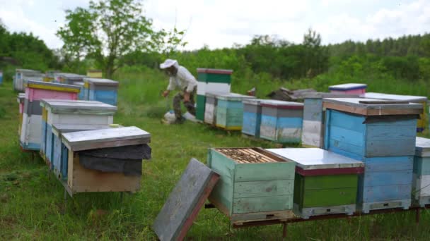 養蜂家について ファーマーは 緑の自然の背景でハチミツと協力しています 草の上に木製の巣が残っている 養蜂コンセプト — ストック動画
